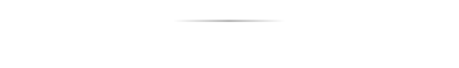 Essay